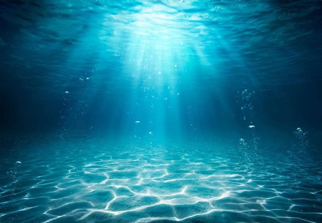 La désoxygénation de l'eau de la Terre est une préoccupation alarmante pour les scientifiques. Crédit : Romolo Tavani/Shutterstock.