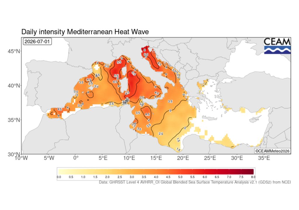 Intensidad de la ola de calor marina en el Mediterráneo el 1 de julio de 2026. Las zonas más afectadas se localizan en el mar de Liguria, el Tirreno y el norte del Adriático, mientras que el Mediterráneo occidental también presenta un calentamiento muy significativo. Fuente: CEAM.