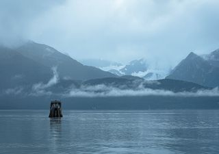 Marine heat waves are changing how Pacific cod grow in Alaska