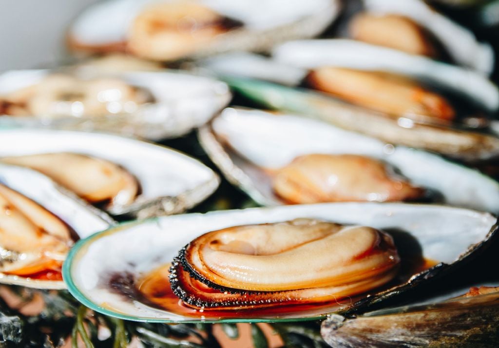 choritos Los choritos o mejillones chilenos, son un alimento alto en proteínas, endémico, sin preservantes y que se cultivan de manera natural. Imagen: Taylor Friehl