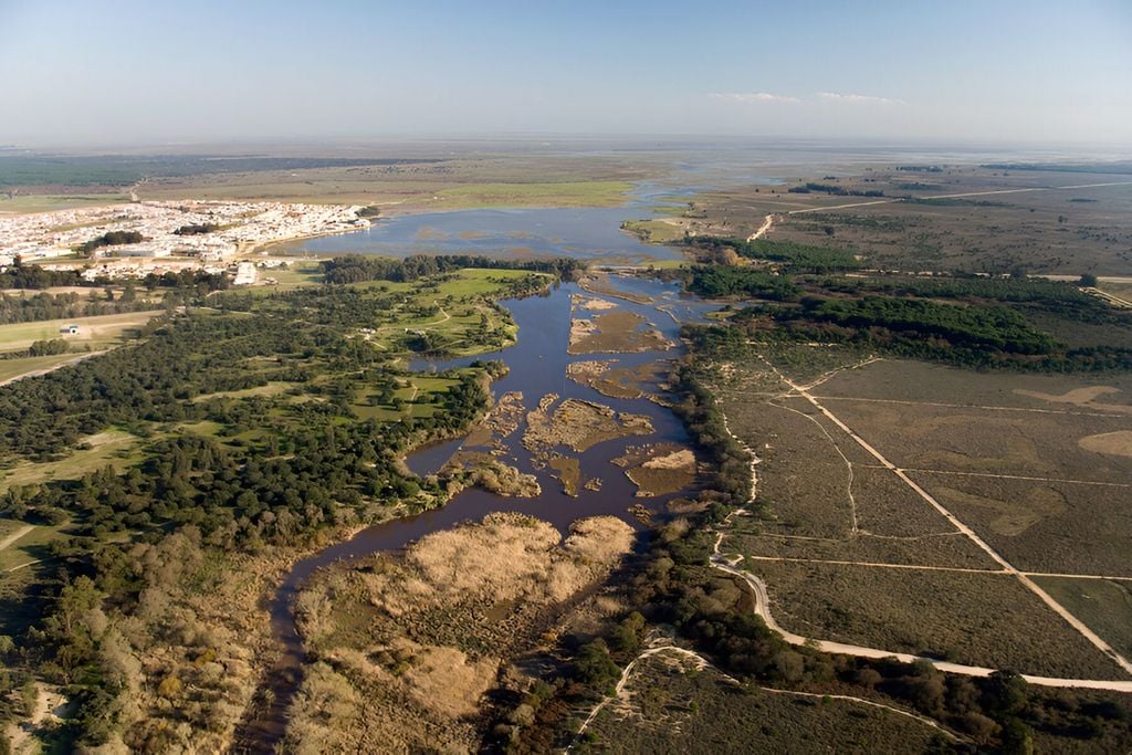 Imagen de una zona del Parque de Doñana. Imagen de la Junta de Andalucía