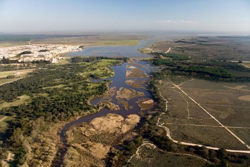 Un estudio de la Universidad de Sevilla indica que las Marismas de Do&ntilde;ana pueden desaparecer en 60 a&ntilde;os