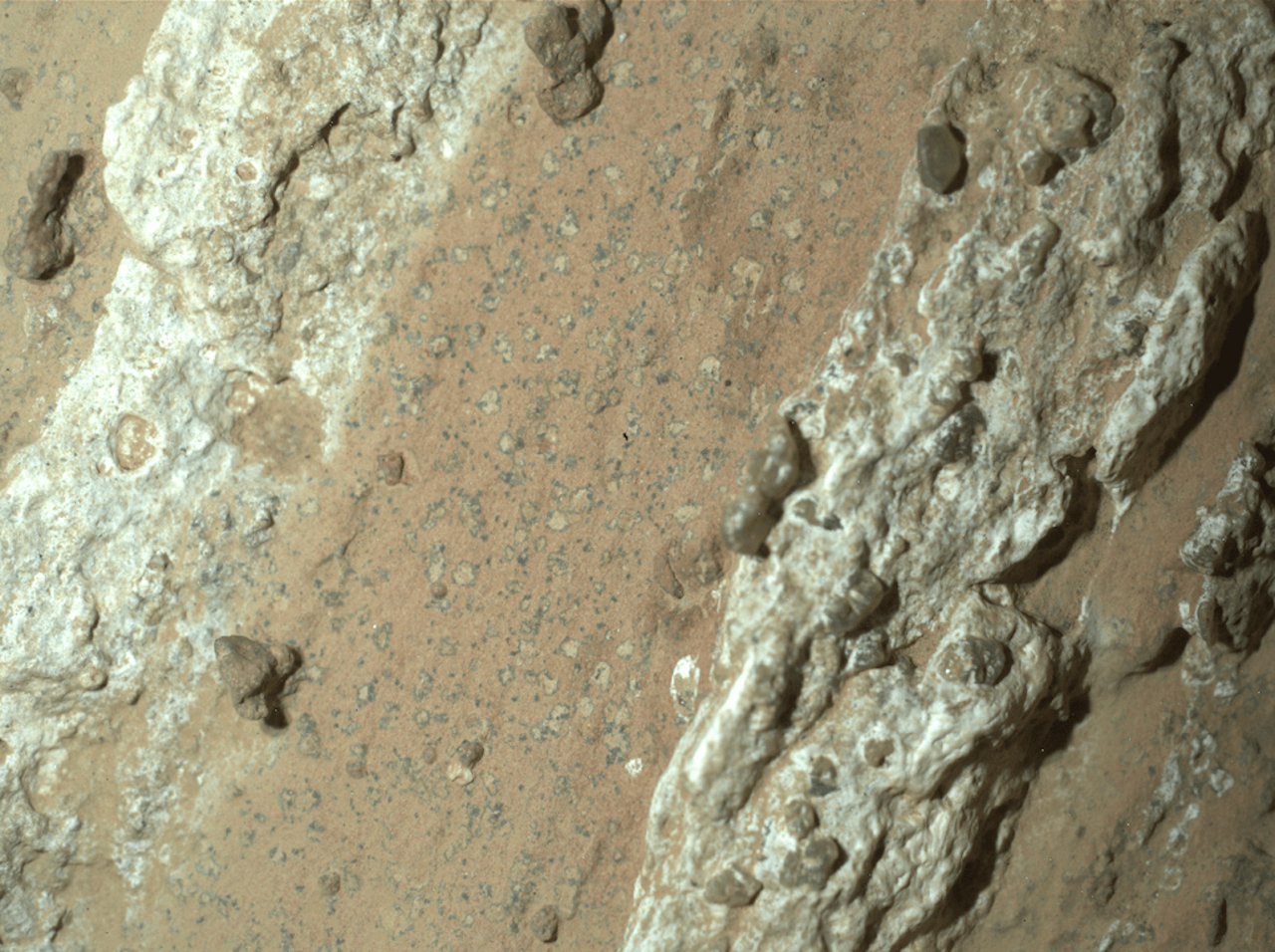 El rover Perseverance de la NASA descubrió unas "manchas de leopardo" en una roca rojiza llamada Cheyava Falls, ubicada en el cráter Jezero de Marte en julio de 2024. Crédito: NASA.