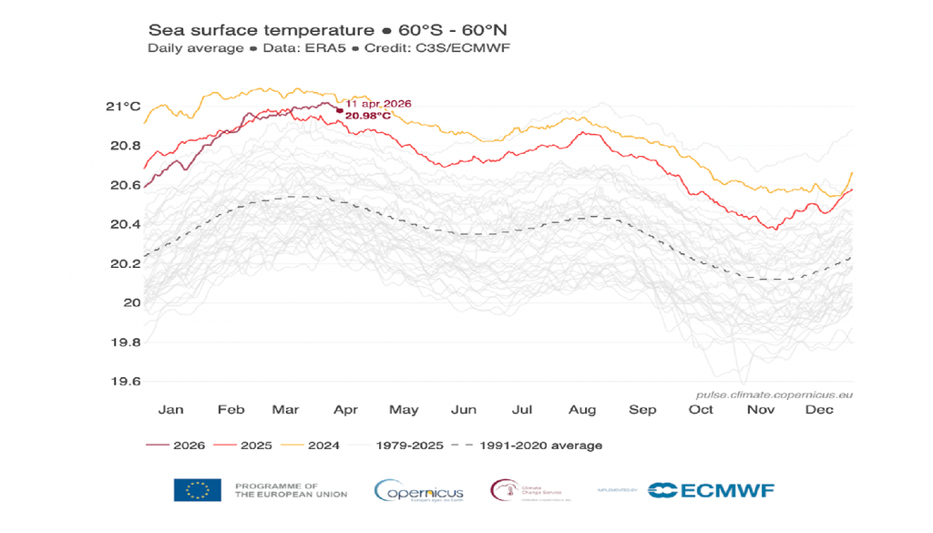 Nel grafico elaborato da Copernicus, la linear rosso-scura mostra la variazione della temperatura della superficie degli oceani nel 2026.
