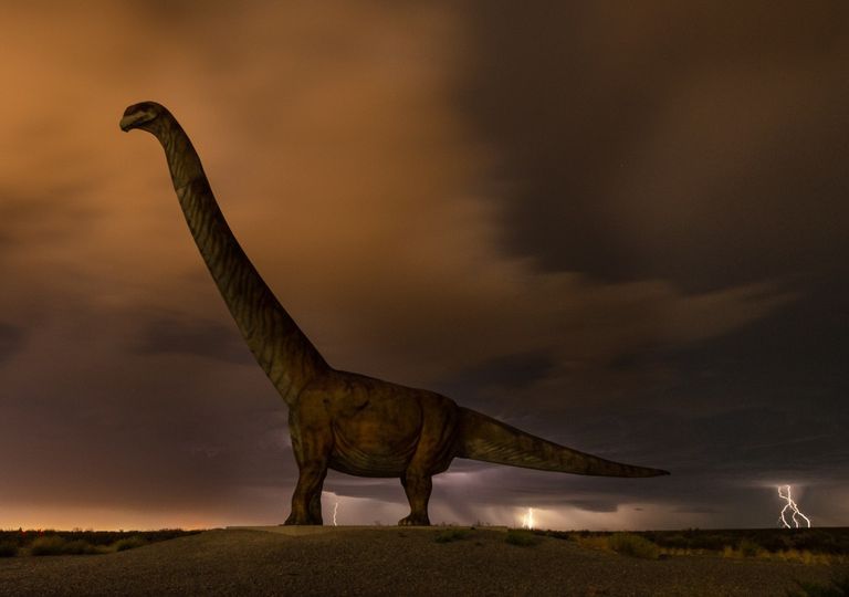 Tormenta Trelew Dinosaurio Tormenta Trelew Dinosaurio