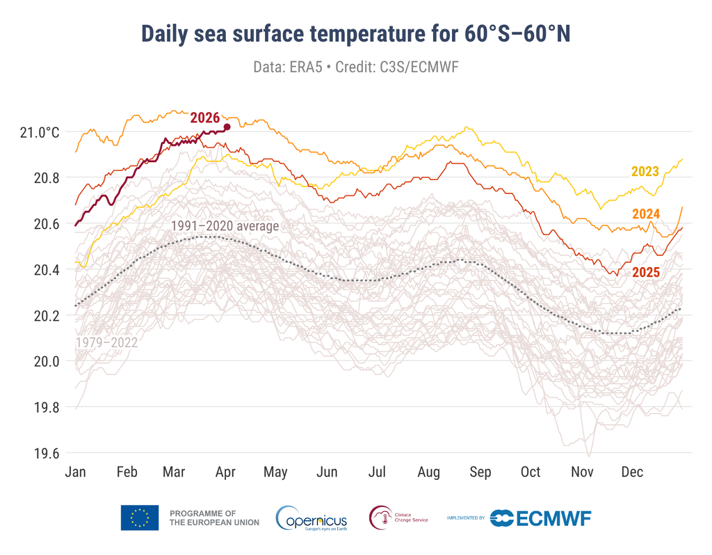 Temperatura diaria de la superficie del mar (°C) promediada en los océanos globales extrapolares (60° S – 60° N) para 2023 (amarillo), 2024 (naranja), 2025 (rojo) y 2026 (rojo oscuro). Todos los demás años entre 1979 y 2022 se muestran con líneas grises. La media diaria para el periodo de referencia 1991-2020 se muestra con una línea gris discontinua. Fuente de datos: ERA5. Crédito: C3S/CEPMPM.