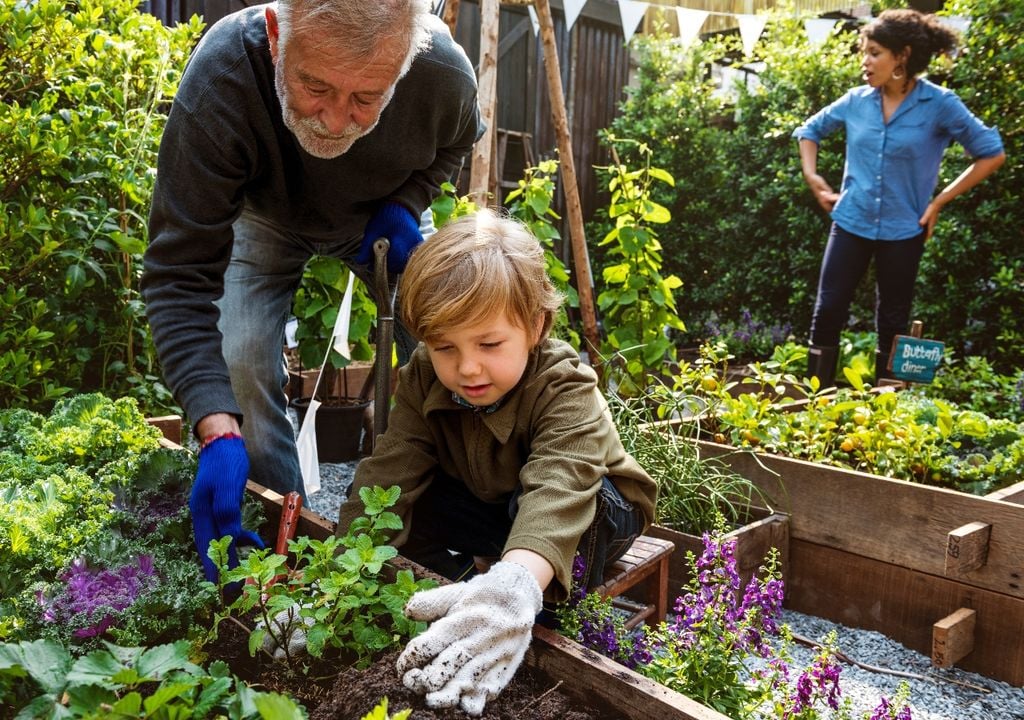 Mientras el jardín cambia de color, la huerta empieza un nuevo ciclo.