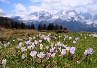 Equinozio di primavera, cambio d'ora e Luna piena di marzo: quando?