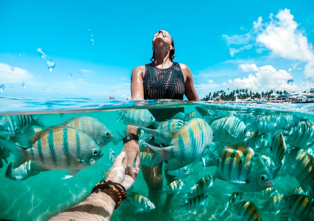 Peces de colores en Porto de Galinhas, Brasil.