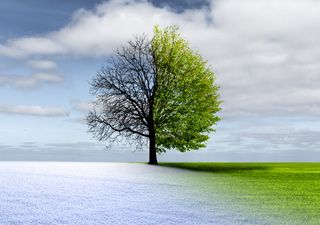 Más calor en México, pero el frío está por regresar