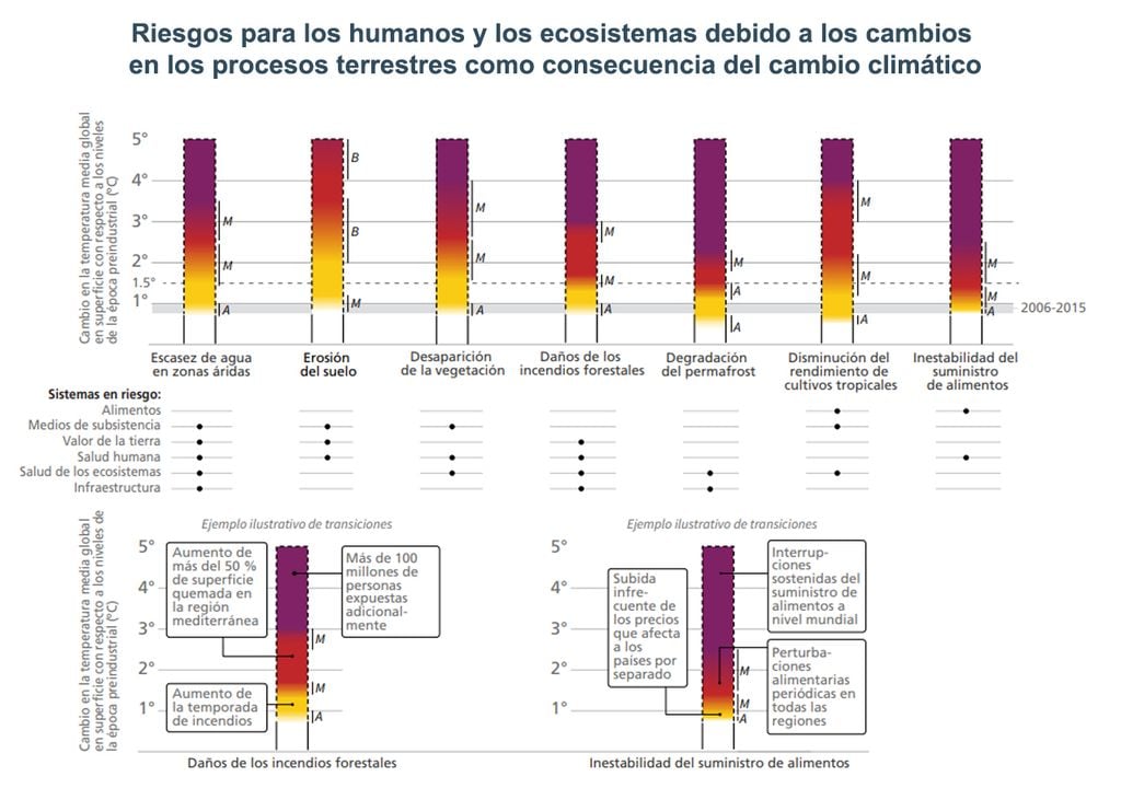 Daños CCA Daños CCA