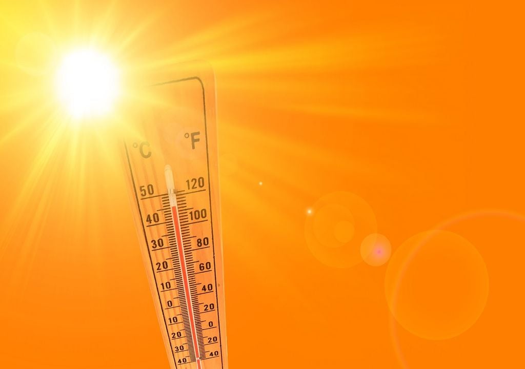 Primavera y calor Primavera y calor