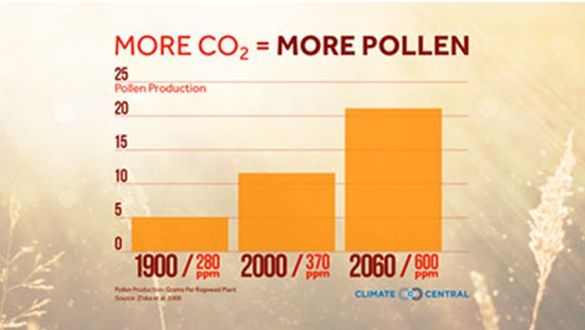 Más Co2, Más Polen Más Co2, Más Polen