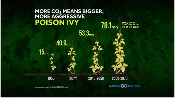 Más Co2, Más Polen Más Co2, Más Polen