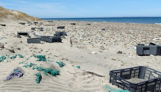 M&aacute;s de 10 toneladas de basura en playas de Chubut: el estudio que expone el verdadero origen del pl&aacute;stico marino