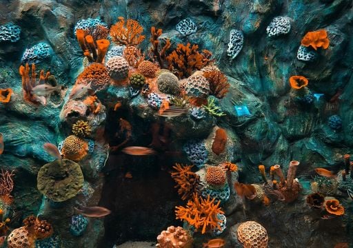 M&aacute;s de 200 cient&iacute;ficos espa&ntilde;oles avisan del abandono de las reservas marinas: "la vigilancia est&aacute; en m&iacute;nimos hist&oacute;ricos"