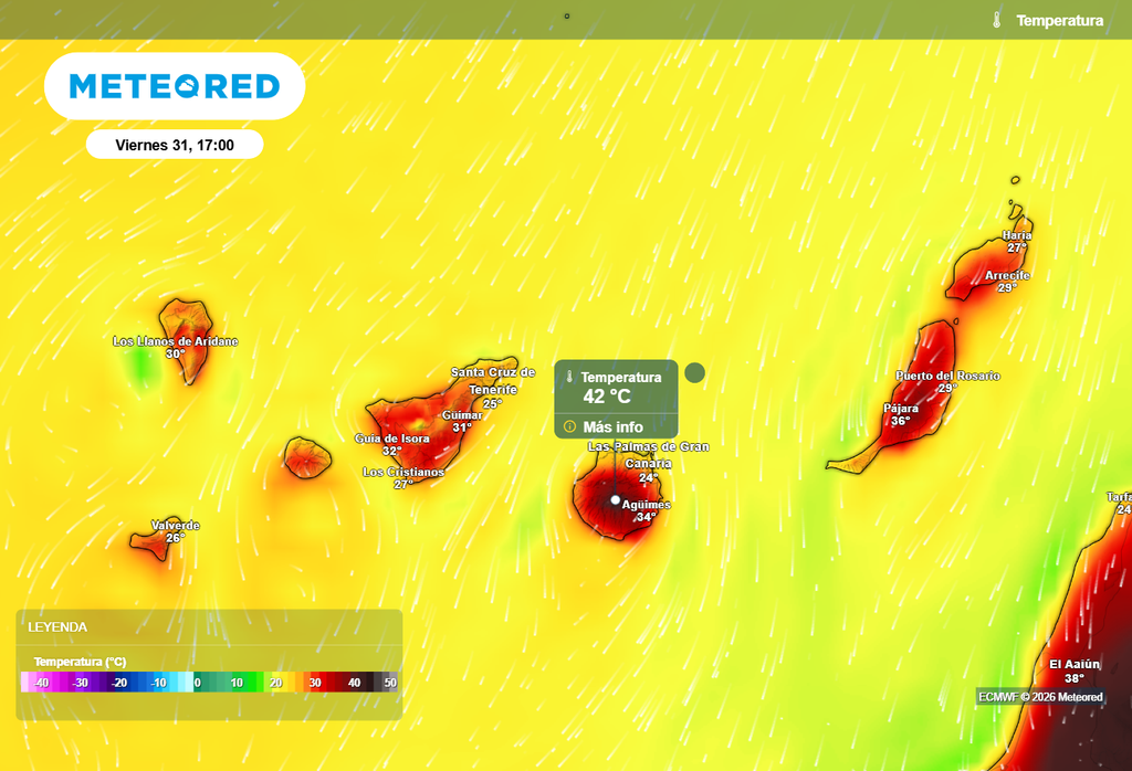 Hasta 42 ºC previstos en el interior de la isla de Gran Canaria en la tarde del viernes.