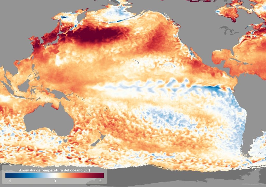 anomalía de temperatura del mar para septiembre