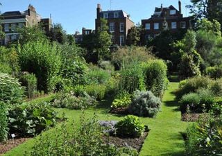 Más espacios verdes para combatir las olas de calor: ¿en los jardines botánicos está la solución?