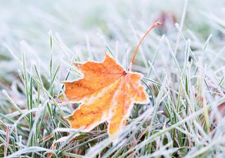 Más frío y lluvias sobre México en próximos días
