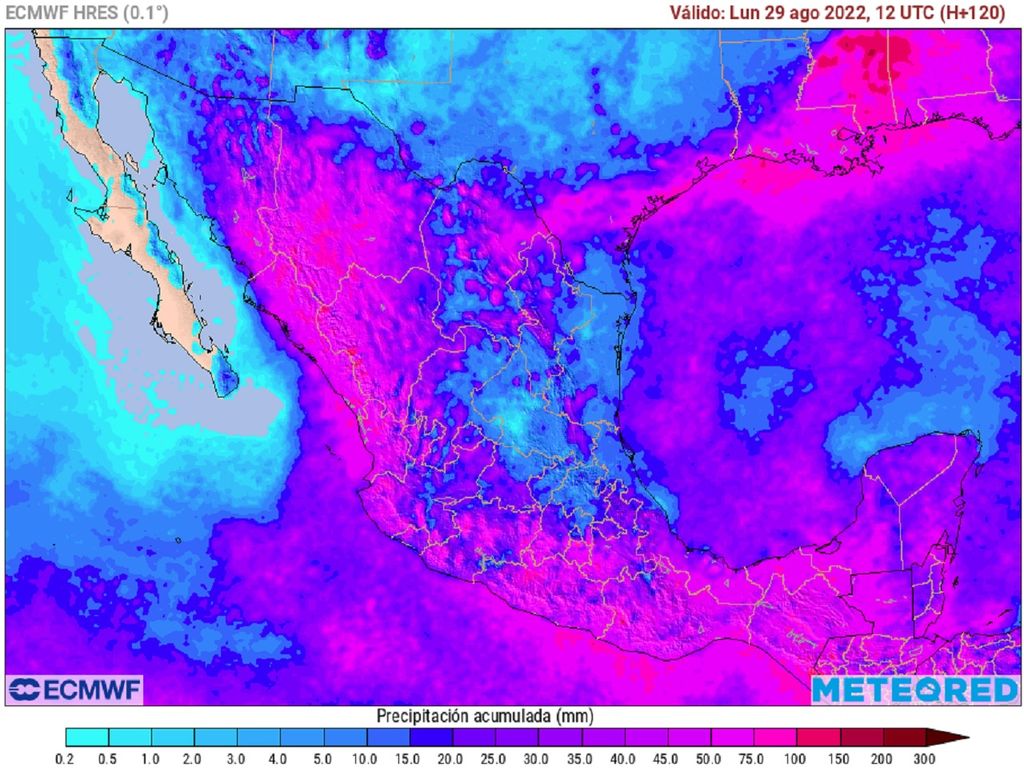 Modelo ECMWF - Acumulado de lluvias