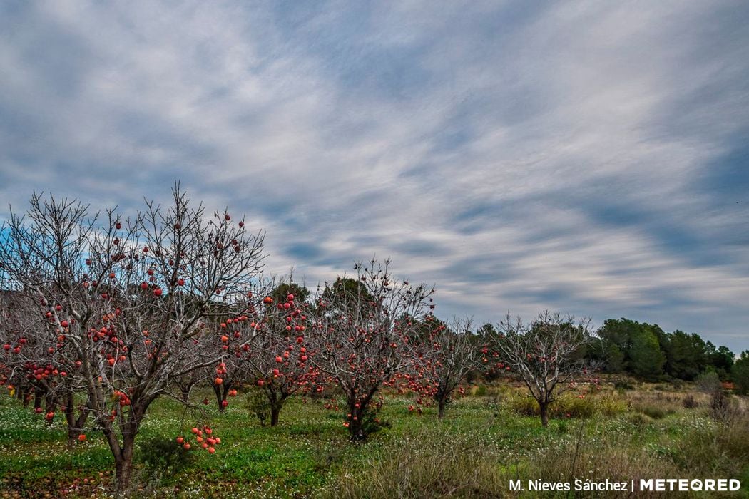 Cielo con intervalos nubosos hoy en l'Olleria, Valencia. Las nubes se quedarán el resto de la semana. Foto de M.Nieves Sánchez.