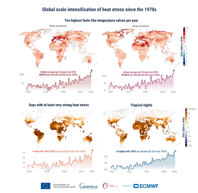 Cambios en la sensación térmica (UTCI), días de estrés térmico y noches tropicales a lo largo del tiempo. Los mapas muestran la diferencia entre la década de 1970 y los últimos 10 años (2015-2024), basándose en promedios decenales de: los 10 valores máximos diarios más altos de UTCI por año (°C), los 10 valores mínimos diarios más altos de UTCI por año (°C), el número anual de días con estrés térmico al menos muy fuerte (UTCI ≥ 38 °C) y el número anual de noches tropicales (temperatura mínima ≥ 20 °C). Los gráficos de líneas muestran el promedio global para cada indicador, para cada año desde 1950 hasta 2024, con las tendencias por década desde la década de 1970 mostradas encima de cada gráfico. Datos: ERA5-HEAT. Fuente: Emerton et al., 2026