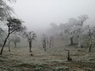 Masa ártica congela gran parte de México