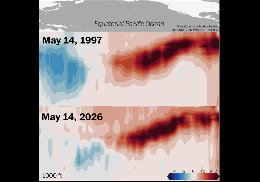 Comparativas de dos Ondas de Kelvin en el Pacífico ecuatorial con sus anomalías cálidas en su zona central y oriental por debajo de la superficie del océano para el 14 de mayo: arriba para el 1997, con un fuerte El Niño, y abajo para 2026, con bastantes similitudes. Fuente: Ben Noll