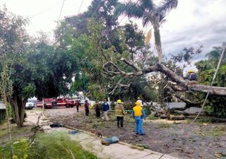 La presencia de la intensa masa de aire polar que impulsó al frente frío 16, deja fallecidos y daños en México