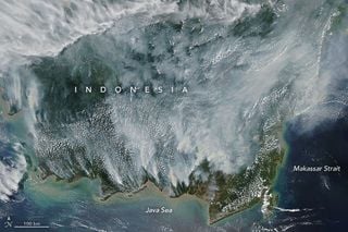 Masivos incendios en Borneo