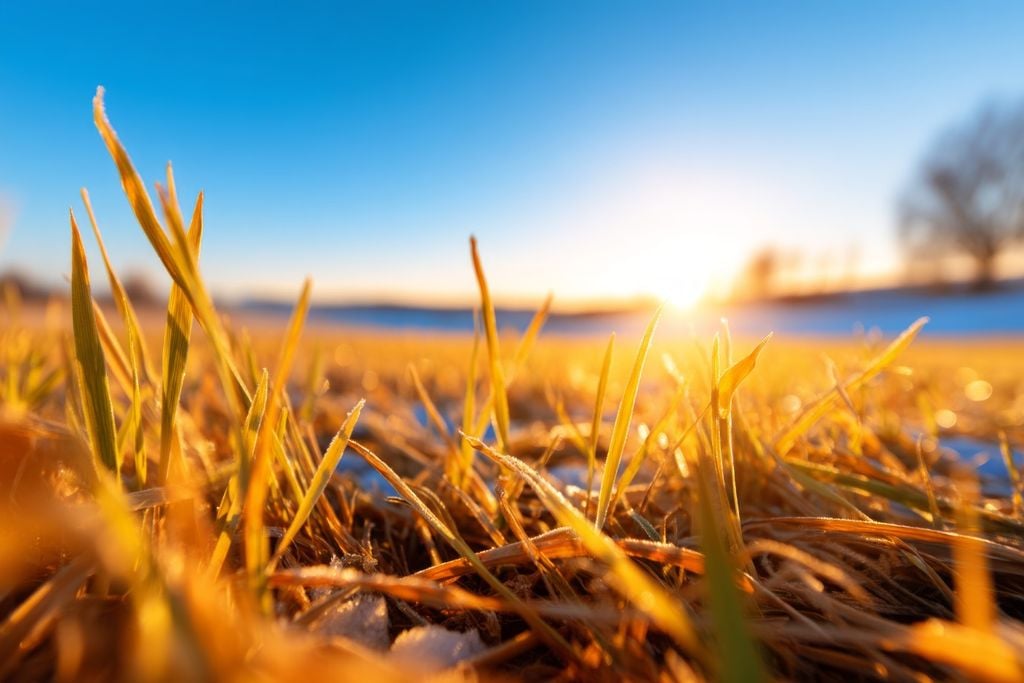 Queda acentuada de temperatura pode favorecer geadas pontuais em áreas de serra e baixadas do Sul.