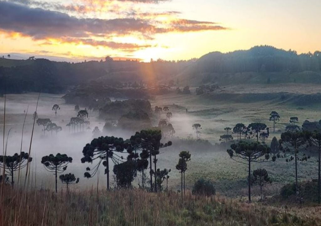 Inmet emitiu alerta de geada para o Sul do Brasil com temperaturas mínimas próximas de 3 graus nesta sexta (10). Foto: Reprodução/ ND Mais
