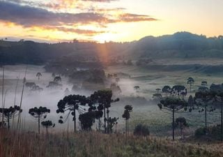 Ar frio traz primeira geada de abril para a Serra Catarinense com temperaturas abaixo dos 5&deg;C