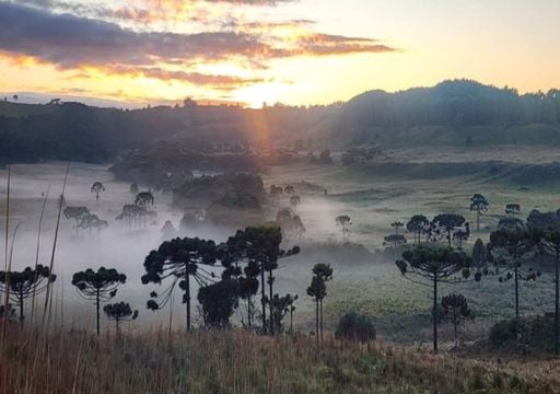 Ar frio traz primeira geada de abril para a Serra Catarinense com temperaturas abaixo dos 5&deg;C