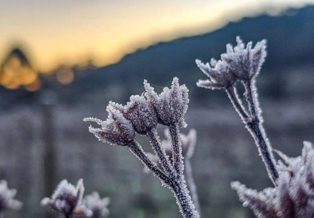 A entrada de uma nova massa de ar polar vai derrubar as temperaturas em grande parte do país nos próximos dias. Créditos: Reprodução/Iara Krishna Puntel.