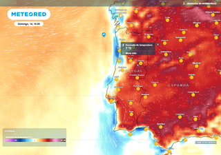 Massa de ar quente provoca subida da temperatura até 35 ºC em 3 regiões de Portugal: eis a previsão até domingo, dia 14