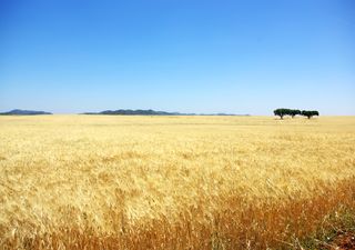 Massas de ar quente deixarão uma segunda quinzena incomum em Portugal