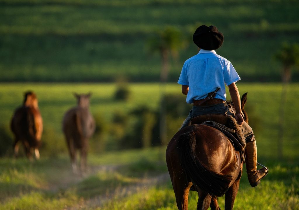 Gaucho, mapuche