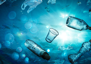 Materiales que se degradan con sal y bacterias: el avance cient&iacute;fico que podr&iacute;a salvar los oc&eacute;anos