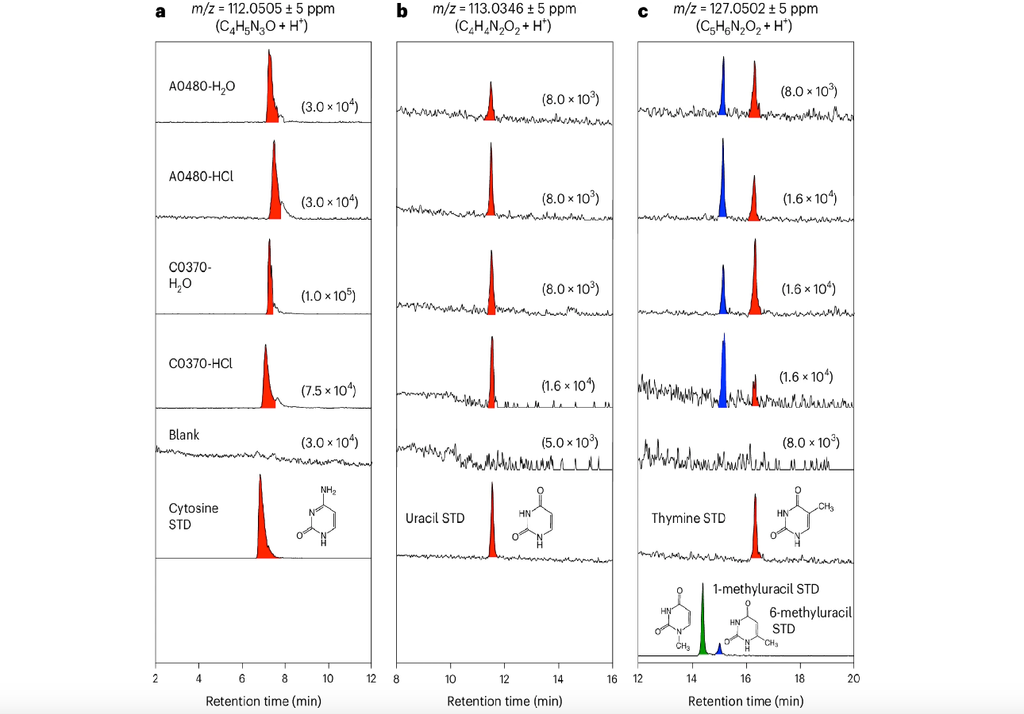 Esempio da cromatogramma da cui si evince la presenza (picchi rossi) delle 5 basi azotate che costituiscono DNa ed RNA. Credit: Koga, T., et al. Nat Astron (2026).