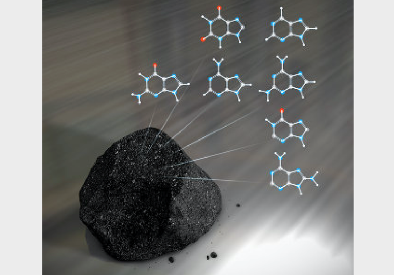 Los cient&iacute;ficos confirman la presencia de bases de ADN en el asteroide Ryugu: "son los componentes b&aacute;sicos de la vida"