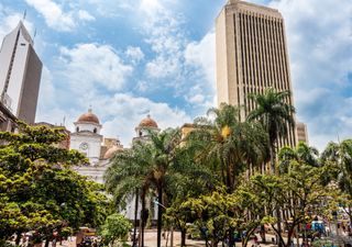 Medellín logró reducir el calor con corredores verdes: un modelo de ciudad resiliente al cambio climático