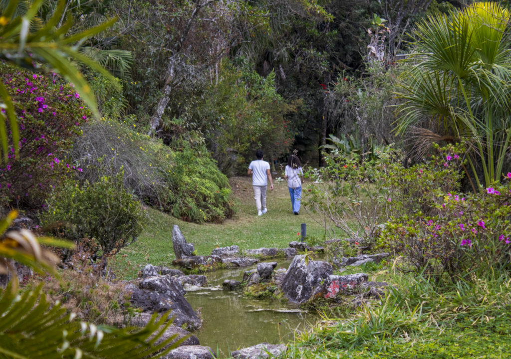 A ampliação das áreas verdes auxilia a infiltração da água no solo, reduz temperaturas e melhora a qualidade de vida das pessoas. Crédito: Reprodução/Catarina Bacci/JC.
