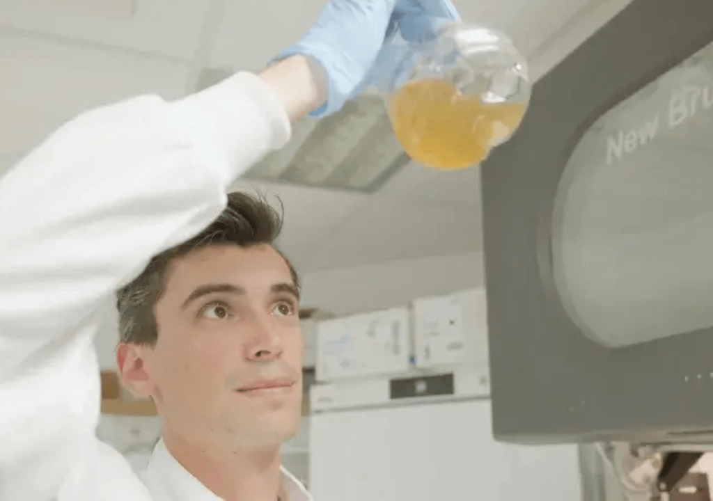 investigador investigador