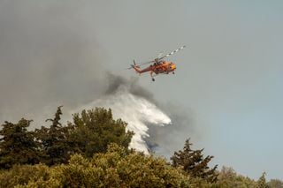 Climate change "crashed the Olympics" during heatwave in Europe