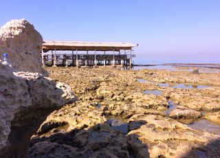 Méditerranée : pourquoi le niveau de la mer a-t-il autant baissé ?