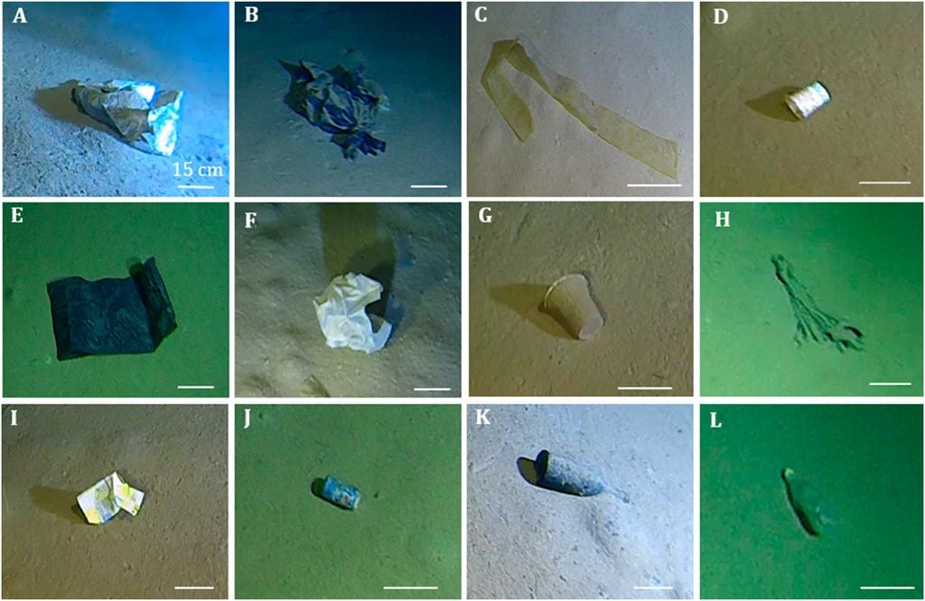 Mosaic of images of what was found at the deepest point in the Mediterranean. Credit: University of Barcelona.