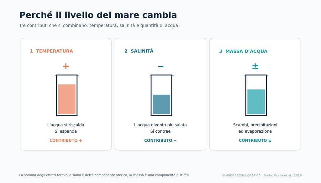 Il livello del mare dipende dall'espansione termica dell'acqua, dalla contrazione associata all'aumento della salinità e dalle variazioni della massa d'acqua. Schema basato su Borile et al. (2026).