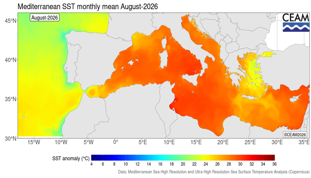 Temperatura superficial del mar media mensual en el Mediterráneo. Generada a partir de la información del Servicio Marino Copernicus de la UE: Análisis de la temperatura superficial del mar en alta y ultra alta resolución en el mar Mediterráneo (https://doi.org/10.48670/moi-00172).Fuente: CEAM